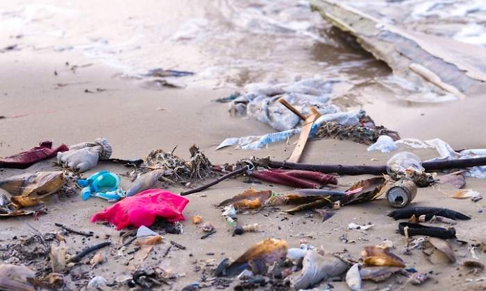 Lee más sobre el artículo Se duplicará la basura en el océano en 2060