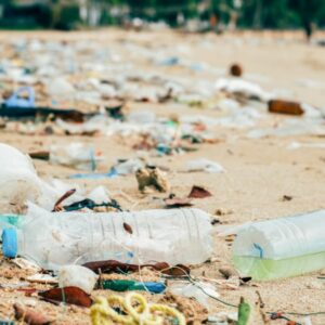 Poner fin a la contaminación plástica para 2040 parte 2