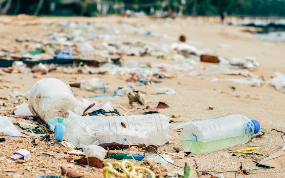 Lee más sobre el artículo Poner fin a la contaminación plástica para 2040 parte 2