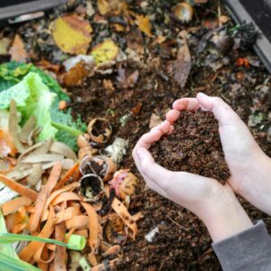De vuelta a lo básico: Inicie su compostación casera en 5 sencillos pasos